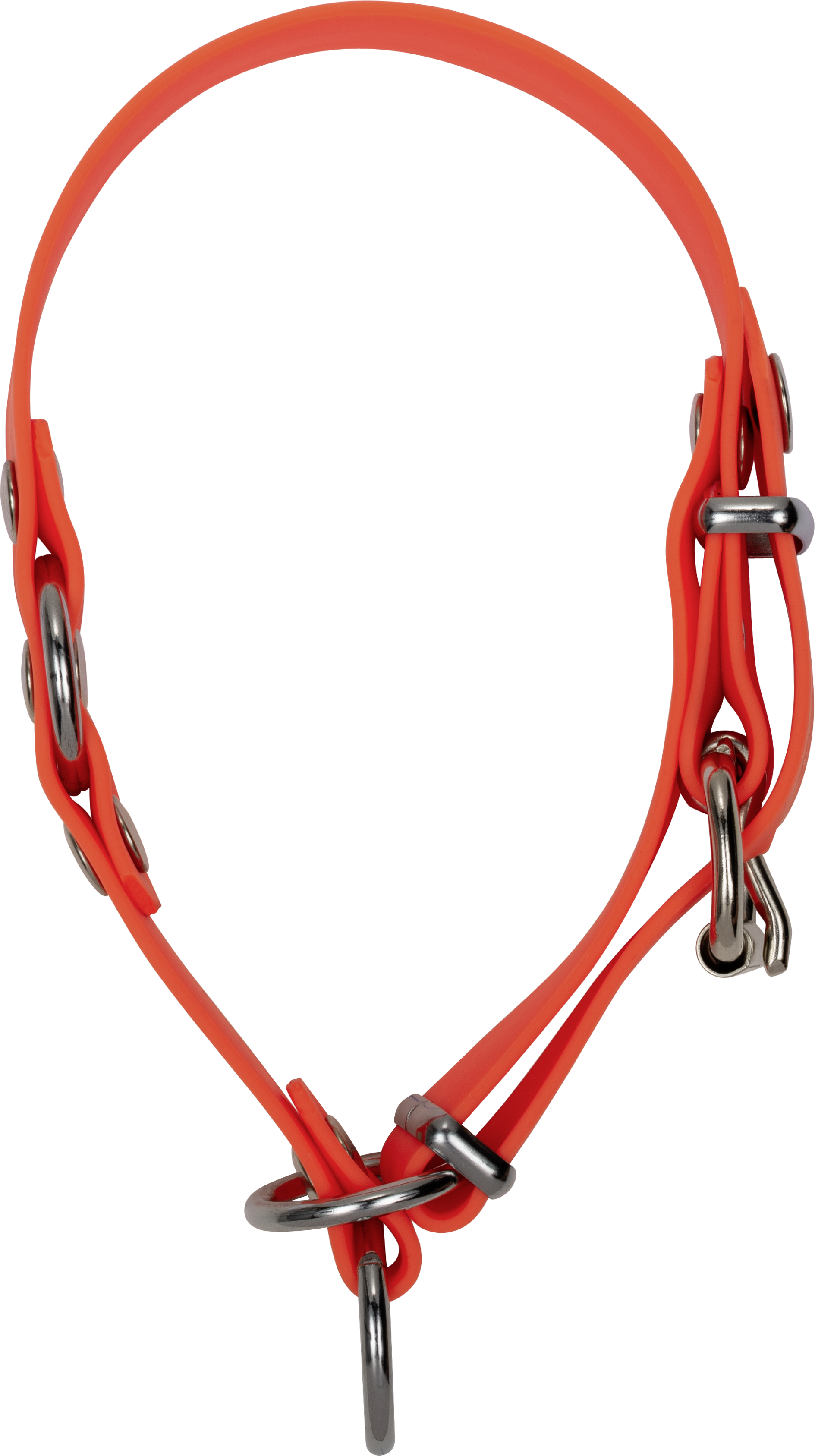 Blaser Hundehalsung Professional orange