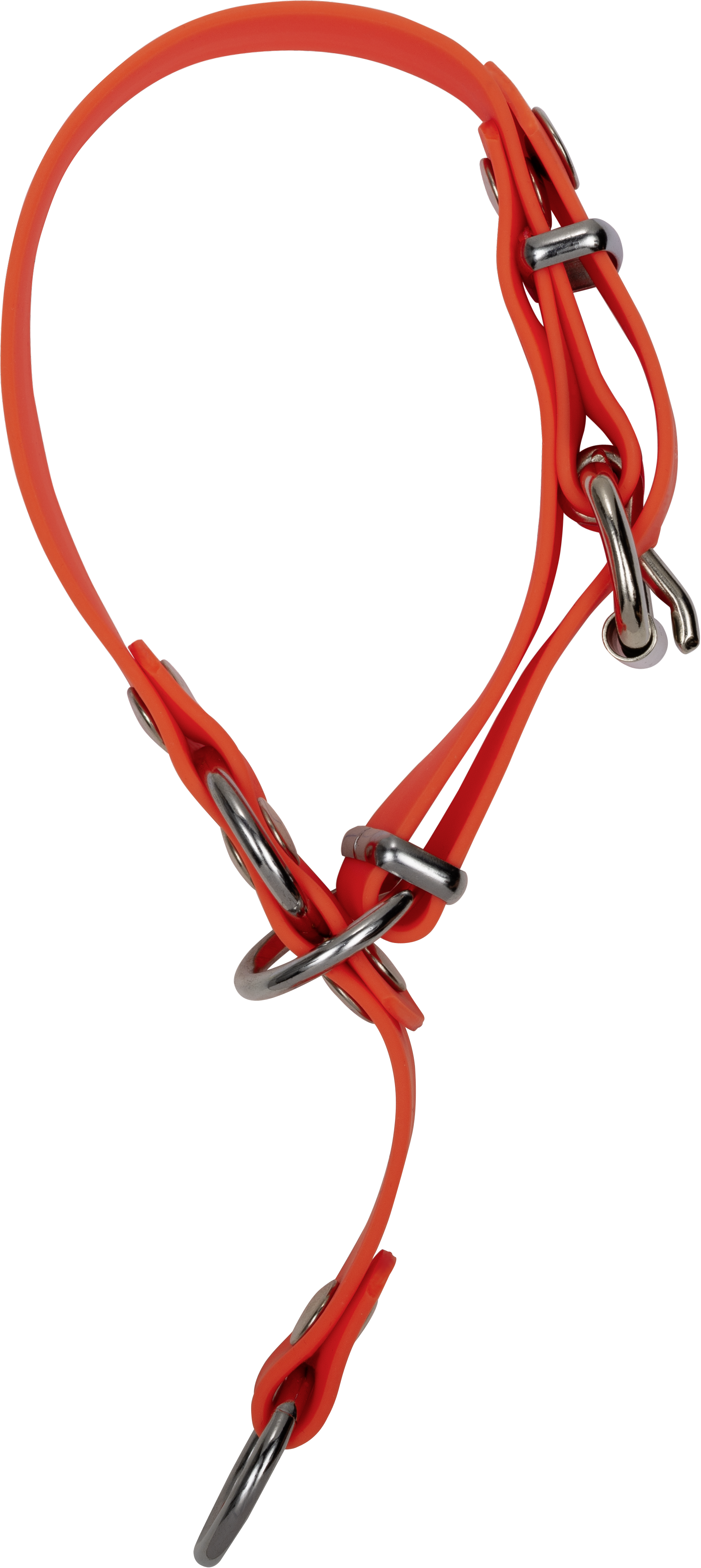 Blaser Hundehalsung Professional orange
