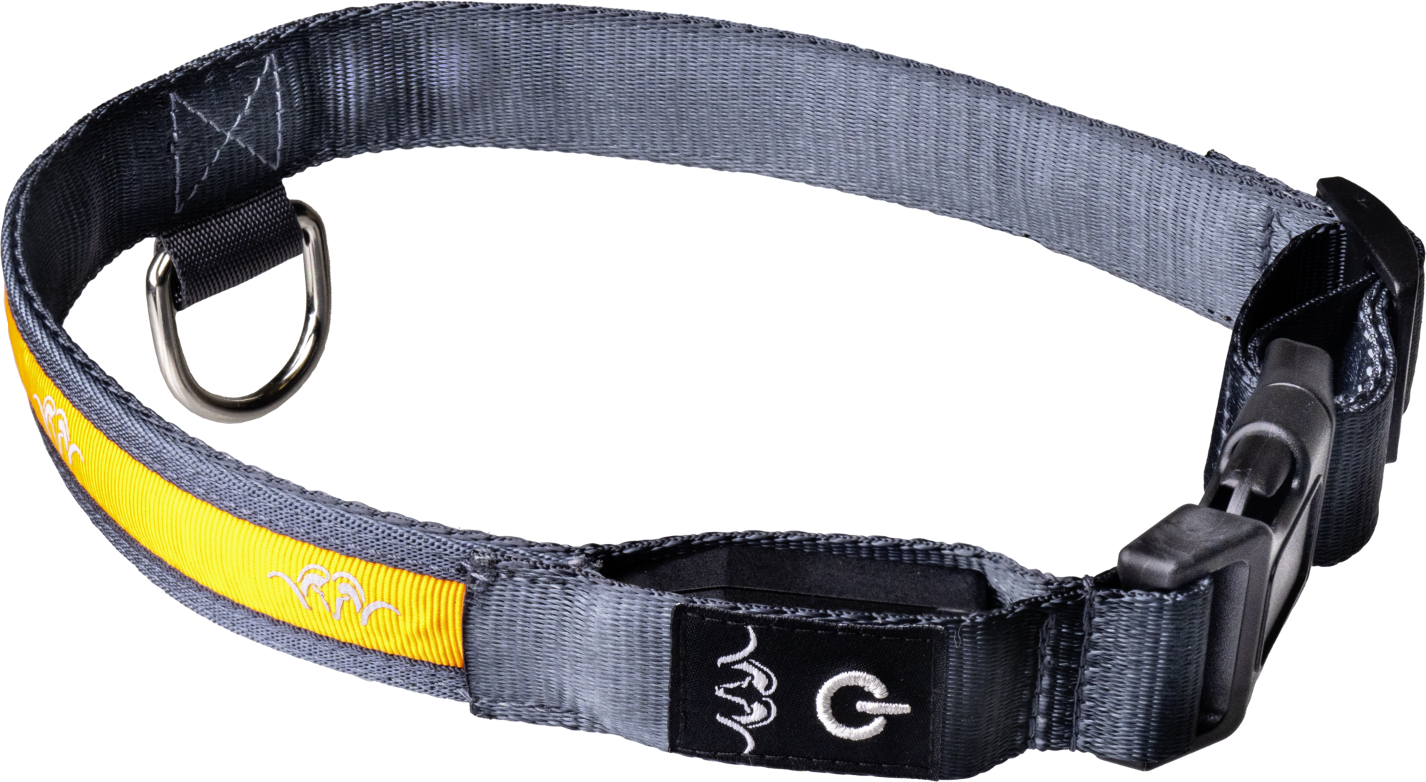 Blaser Halsband LED orange